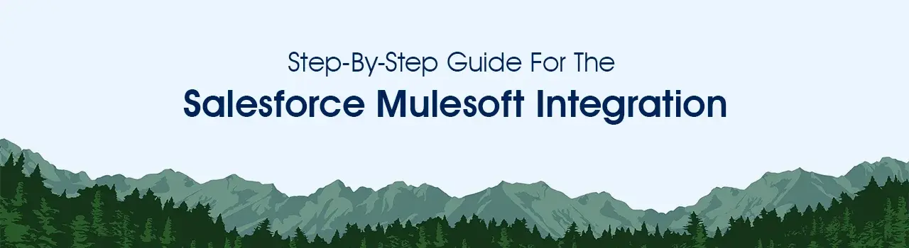 Salesforce Mulesoft Integration Process