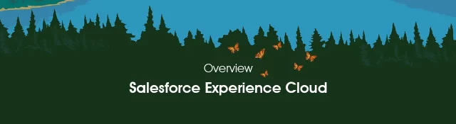 What is Salesforce Experience Cloud