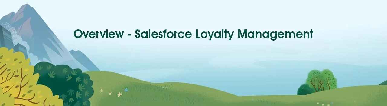 What is salesforce loyalty Management