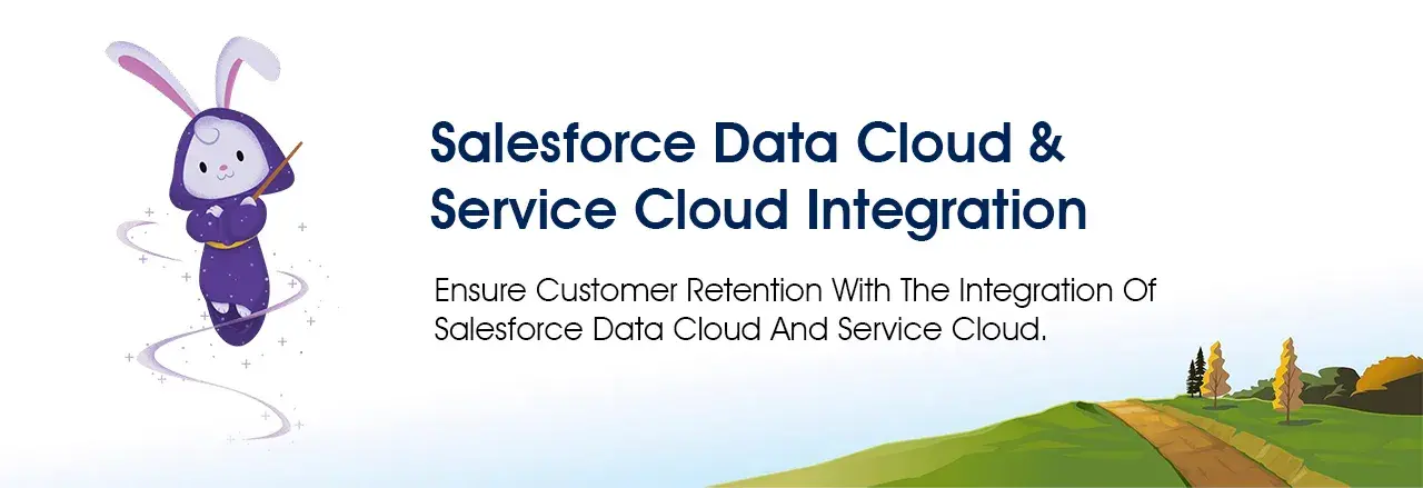 How To Maximize Efficiency & ROI with Salesforce Data Cloud?