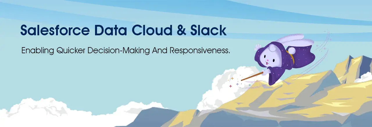 How To Maximize Efficiency & ROI with Salesforce Data Cloud?