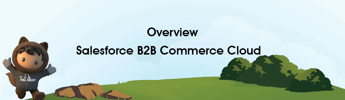 what is salesforce b2b commerce cloud