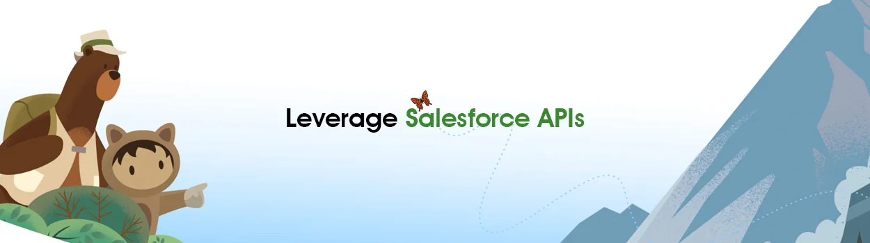leverage Salesforce API for integration