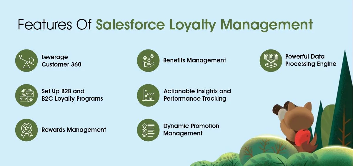 Features of salesforce loyalty management