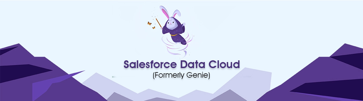 What Is Salesforce Genie?