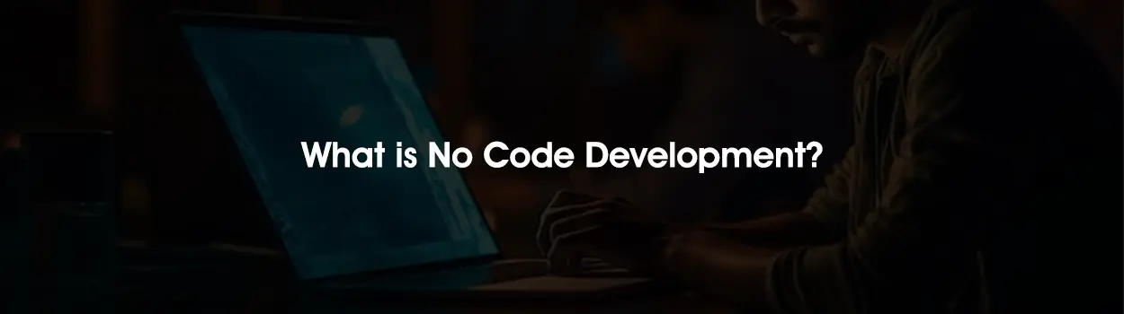 The Future: Rise of Low-Code and No-Code Software Development