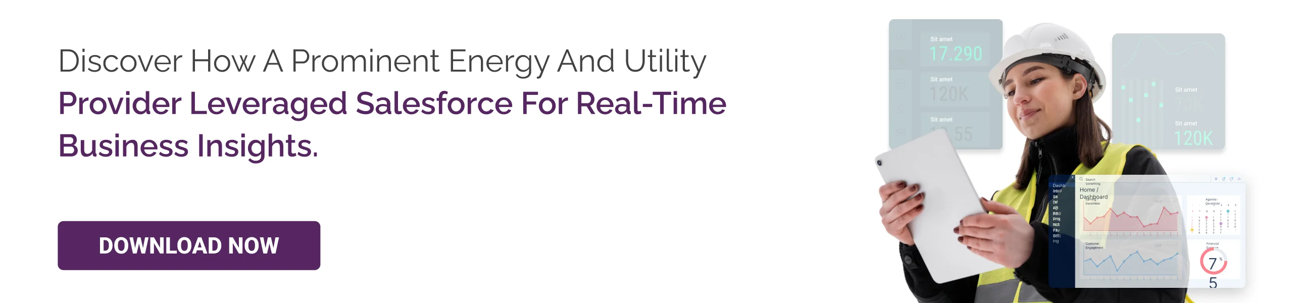 energy and utility case study 