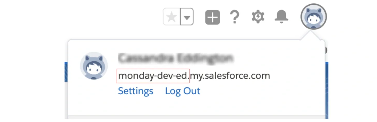 Copy the prefix before my.salesforce.com