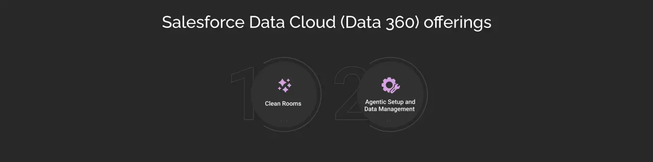 Salesforce data cloud dark
