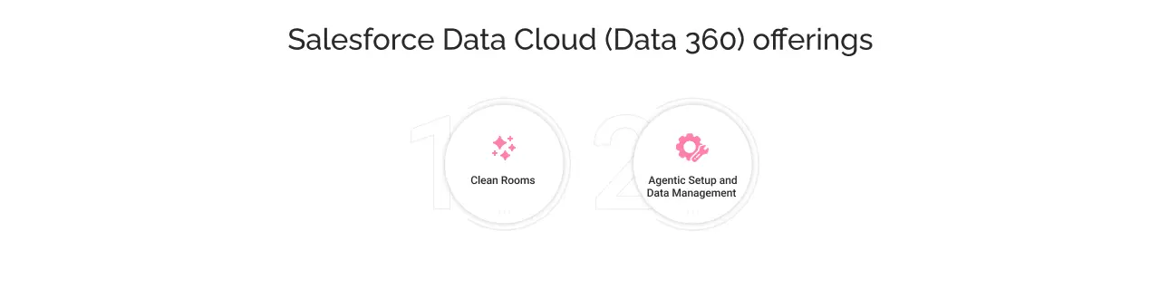 Salesforce data cloud light