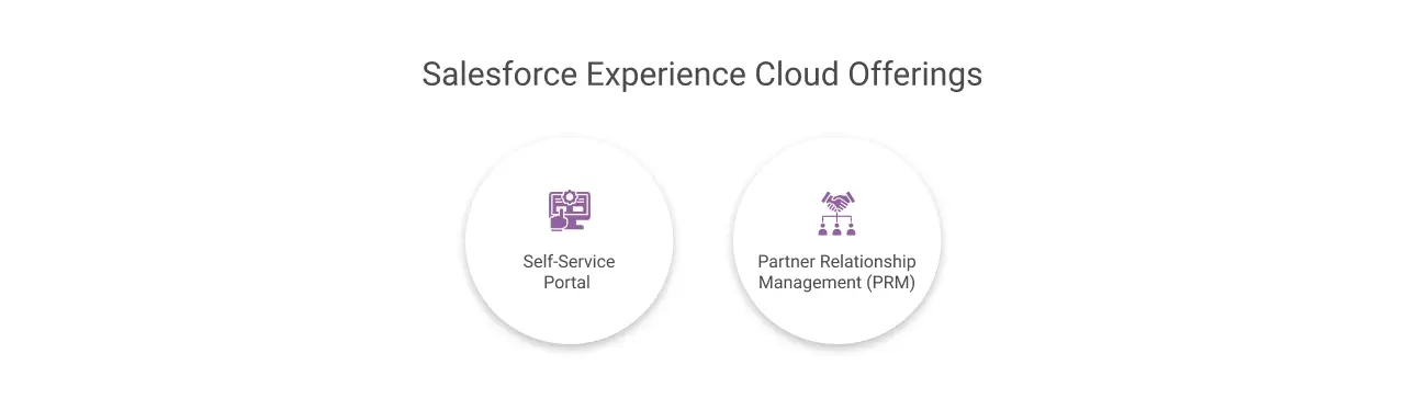 Salesforce experience cloud light