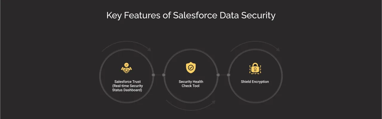 Key Features of Salesforce Data Security dark