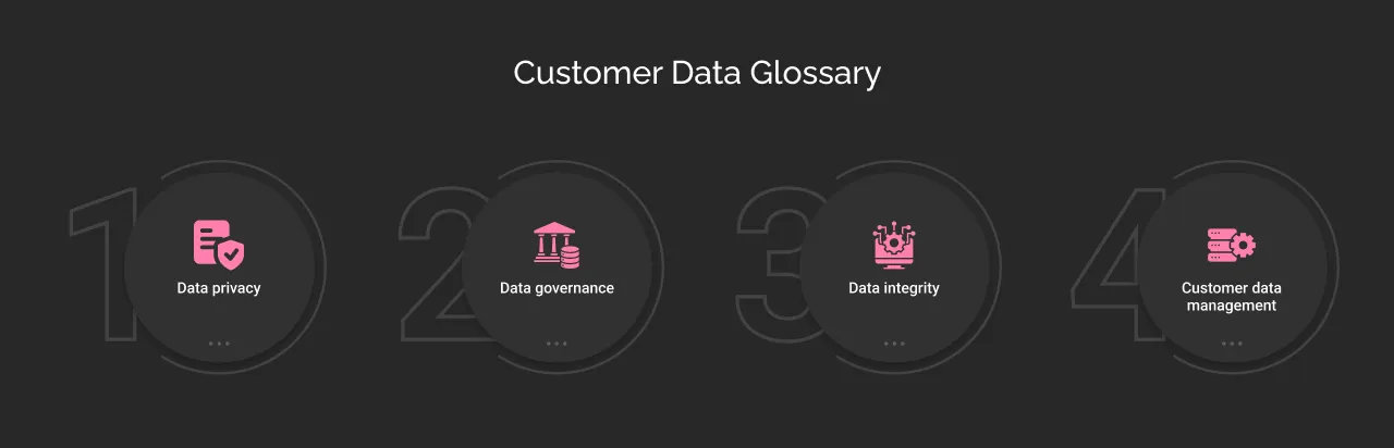 Customer Data Glossary dark