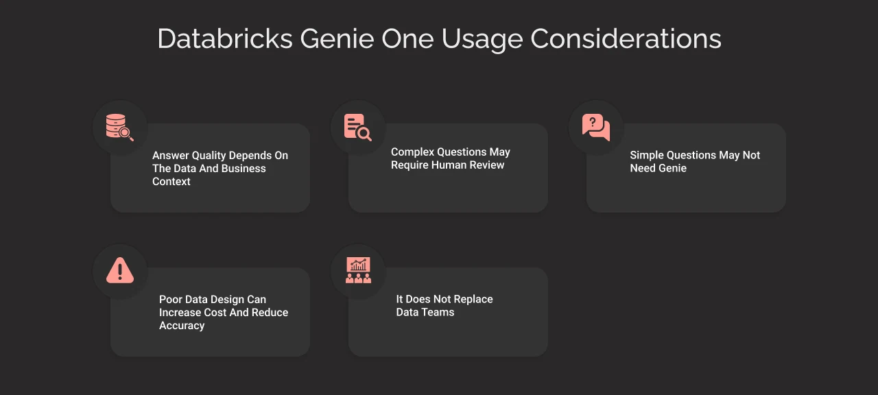 Databricks Genie One Usage Considerations