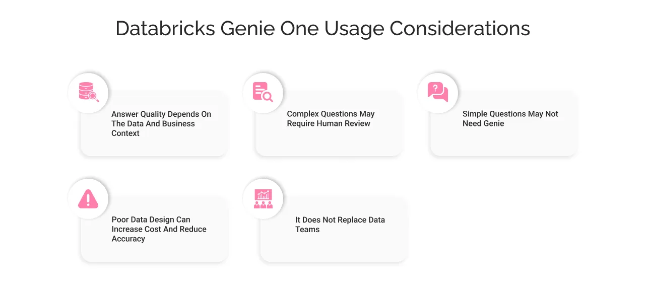 Databricks Genie One Usage Considerations