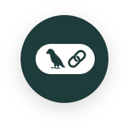 LangChain