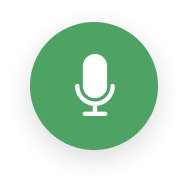 Voice Agent logo